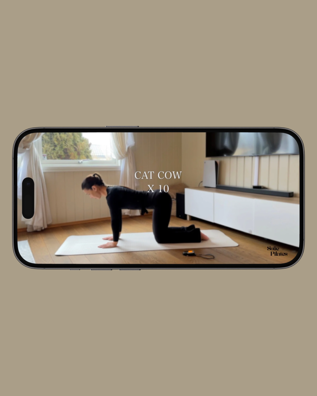 Pilatesøvelse - Cat Cow